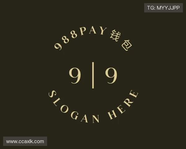认识988PAY钱包